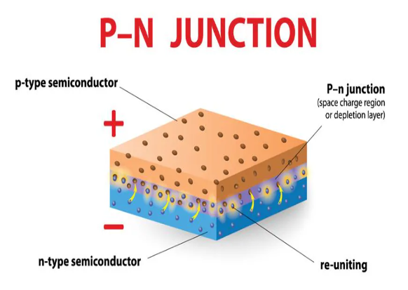該圖像是 PN 結的藝術描繪,說明了光電二極管的耗盡區。 該圖像是 PN 結的藝術描繪,說明了光電二極管的耗盡區。